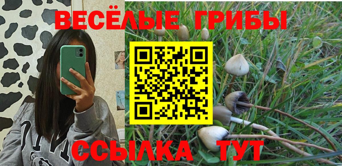 Псилоцибиновые грибы мухоморы  Вход с VPN  Донецк 